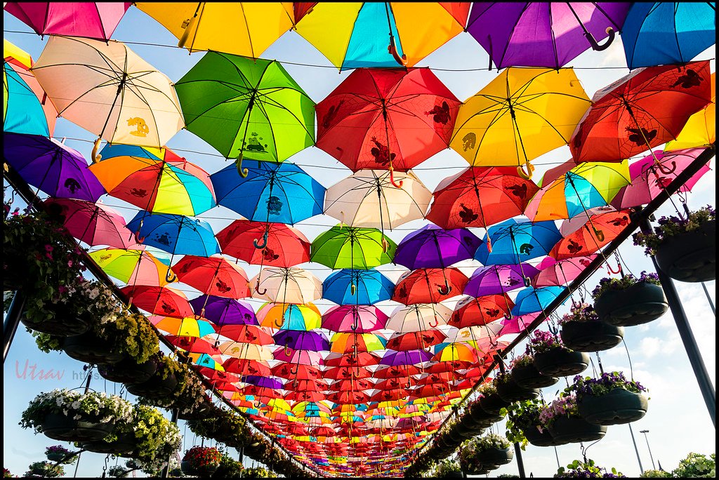 Dubai Miracle Garden